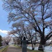 ヒメ日記 2025/04/19 16:50 投稿 るな【こだ割嬢】 first call～ファーストコール～