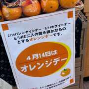 ヒメ日記 2025/04/15 09:27 投稿 まな 小田原人妻城