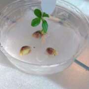 ヒメ日記 2025/04/30 14:18 投稿 まな 小田原人妻城