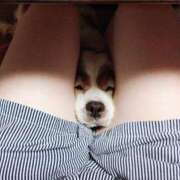 ヒメ日記 2025/10/09 20:33 投稿 まな 小田原人妻城