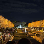 ヒメ日記 2025/11/24 17:15 投稿 りろ ぺろぺろベロベロ専科 ぺろんちょ