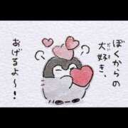 ヒメ日記 2026/03/03 23:19 投稿 りろ ぺろぺろベロベロ専科 ぺろんちょ