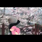 ヒメ日記 2026/03/24 18:25 投稿 りろ ぺろぺろベロベロ専科 ぺろんちょ