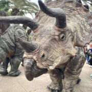 ヒメ日記 2025/03/18 16:30 投稿 つゆ 桃色クリスタル