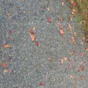 ヒメ日記 2025/11/16 15:59 投稿 つゆ 桃色クリスタル