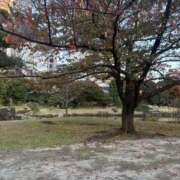 ヒメ日記 2025/11/19 16:28 投稿 つゆ 桃色クリスタル