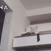 ヒメ日記 2024/12/25 16:40 投稿 りの なでし娘