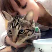 ヒメ日記 2025/01/19 19:35 投稿 りの なでし娘