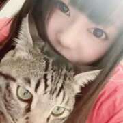 ヒメ日記 2025/01/23 09:36 投稿 りの なでし娘