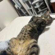 ヒメ日記 2025/01/25 08:46 投稿 りの なでし娘