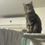 ヒメ日記 2025/02/11 08:52 投稿 りの なでし娘