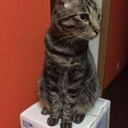 ヒメ日記 2025/02/14 01:00 投稿 りの なでし娘