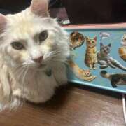 ヒメ日記 2025/02/14 20:06 投稿 りの なでし娘