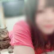 ヒメ日記 2025/02/20 16:15 投稿 りの なでし娘