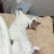 ヒメ日記 2025/02/22 20:38 投稿 りの なでし娘