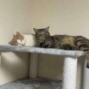 ヒメ日記 2025/02/22 21:40 投稿 りの なでし娘