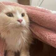 ヒメ日記 2025/02/22 23:03 投稿 りの なでし娘