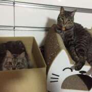 ヒメ日記 2025/02/22 23:18 投稿 りの なでし娘