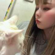 ヒメ日記 2025/02/25 19:12 投稿 りの なでし娘