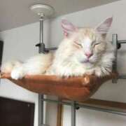 ヒメ日記 2025/02/28 21:09 投稿 りの なでし娘