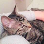 ヒメ日記 2025/03/18 23:03 投稿 りの なでし娘