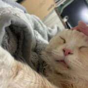 ヒメ日記 2025/04/02 12:37 投稿 りの なでし娘