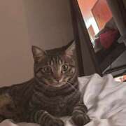 ヒメ日記 2025/04/07 08:29 投稿 りの なでし娘