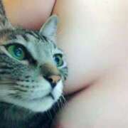 ヒメ日記 2025/04/14 07:23 投稿 りの なでし娘