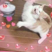 ヒメ日記 2025/04/16 07:29 投稿 りの なでし娘