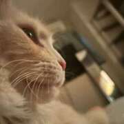 ヒメ日記 2025/04/19 12:01 投稿 りの なでし娘