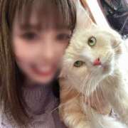 ヒメ日記 2025/04/19 22:12 投稿 りの なでし娘