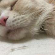 ヒメ日記 2025/05/01 06:32 投稿 りの なでし娘