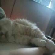 ヒメ日記 2025/05/04 06:00 投稿 りの なでし娘