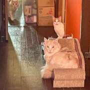 ヒメ日記 2025/05/04 23:02 投稿 りの なでし娘