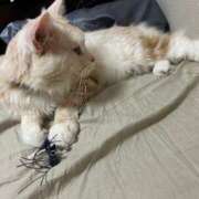 ヒメ日記 2025/05/11 09:19 投稿 りの なでし娘