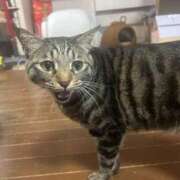 ヒメ日記 2025/05/24 08:01 投稿 りの なでし娘