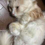 ヒメ日記 2025/05/30 07:45 投稿 りの なでし娘