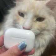 ヒメ日記 2025/05/31 11:44 投稿 りの なでし娘