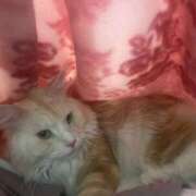 ヒメ日記 2025/06/04 05:56 投稿 りの なでし娘