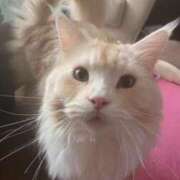 ヒメ日記 2025/06/15 07:24 投稿 りの なでし娘