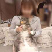 ヒメ日記 2025/07/29 21:31 投稿 りの なでし娘