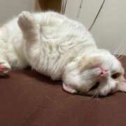 ヒメ日記 2025/08/11 09:37 投稿 りの なでし娘