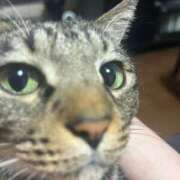 ヒメ日記 2025/09/01 09:38 投稿 りの なでし娘