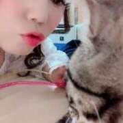 ヒメ日記 2025/09/05 16:00 投稿 りの なでし娘