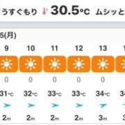 ヒメ日記 2025/09/15 09:24 投稿 りの なでし娘