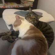 ヒメ日記 2025/09/21 15:27 投稿 りの なでし娘