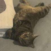 ヒメ日記 2025/09/21 19:10 投稿 りの なでし娘