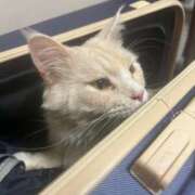 ヒメ日記 2025/09/22 22:44 投稿 りの なでし娘