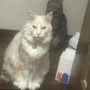 ヒメ日記 2025/09/27 12:03 投稿 りの なでし娘