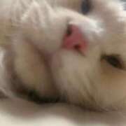 ヒメ日記 2025/09/27 22:49 投稿 りの なでし娘